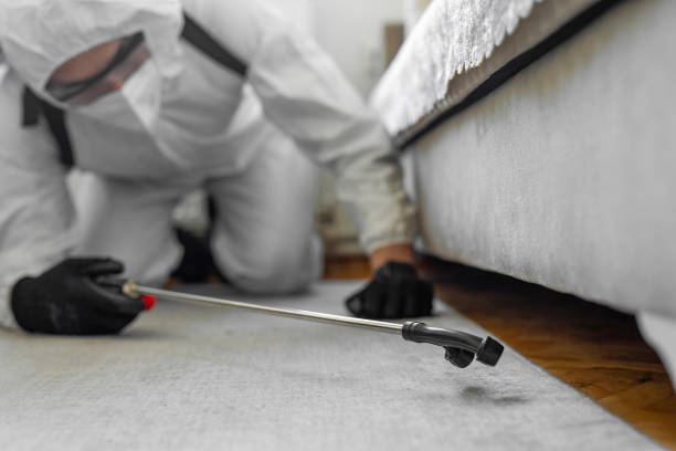 Professional Termite Control technician working in New Carlisle, OH