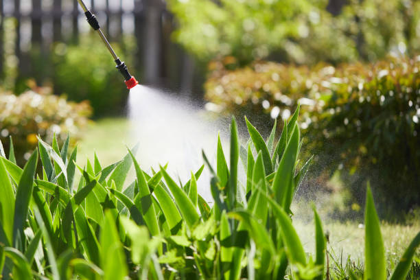 24/7 Emergency Termite Control experts in New Carlisle, OH