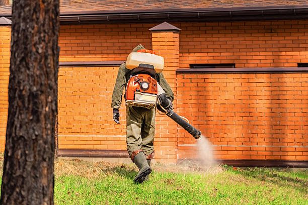 Trusted Bed Bug Control service in New Carlisle, OH - Nex Pest Control